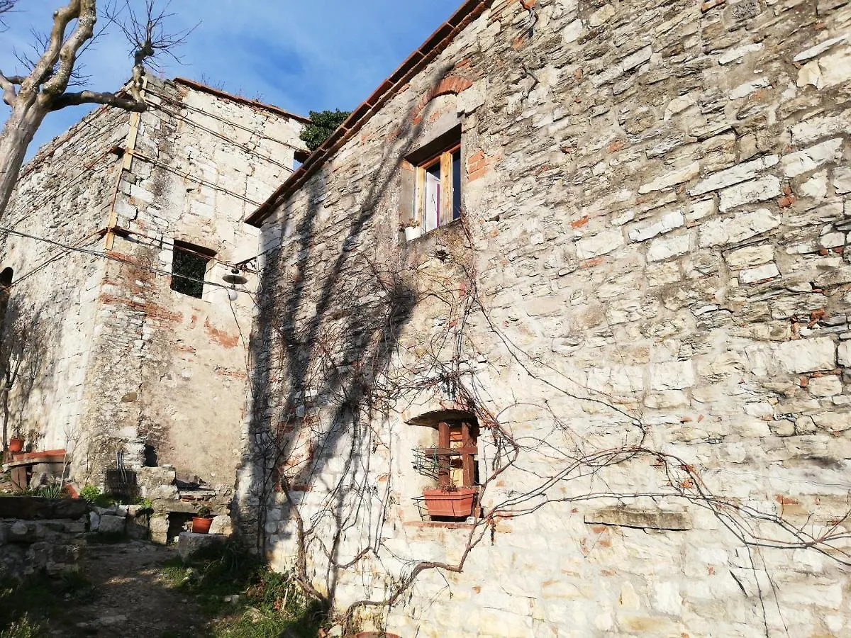 Bed & Breakfast Agriturismo Casamatta Azienda Agricola Calenzano Italy