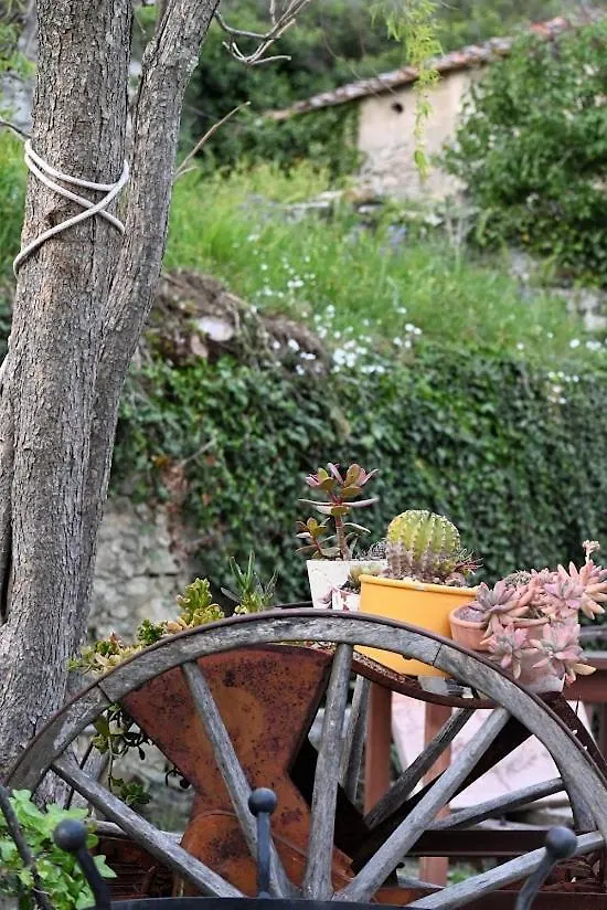 Agriturismo Casamatta Azienda Agricola Calenzano Italy